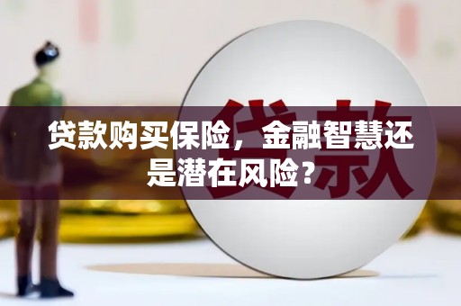 阜康贷款购买保险，金融智慧还是潜在风险？