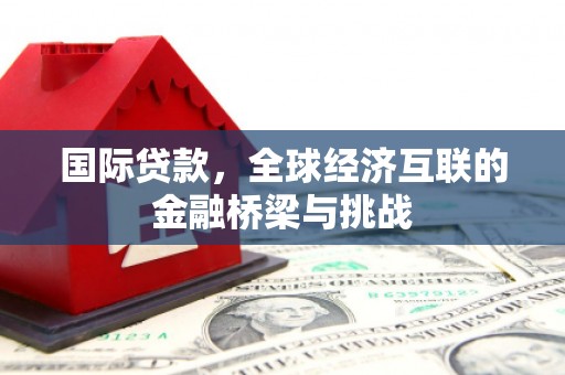阜康国际贷款，全球经济互联的金融桥梁与挑战