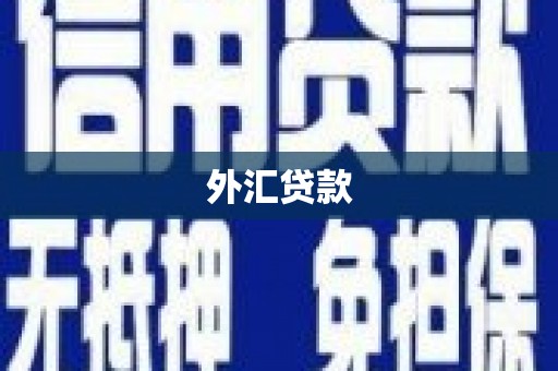 阜康外汇贷款