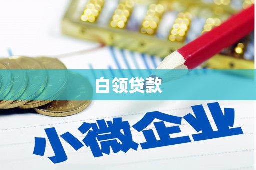 阜康白领贷款