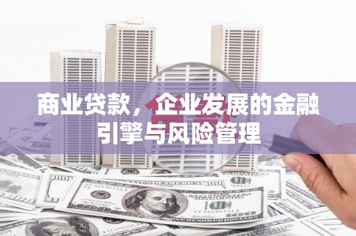 阜康商业贷款，企业发展的金融引擎与风险管理