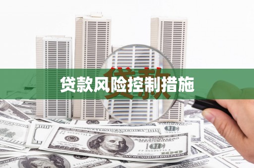 阜康贷款风险控制措施