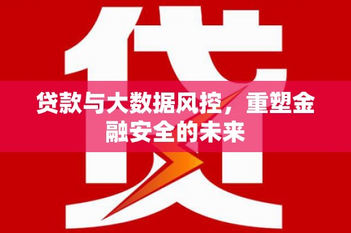 阜康贷款与大数据风控，重塑金融安全的未来
