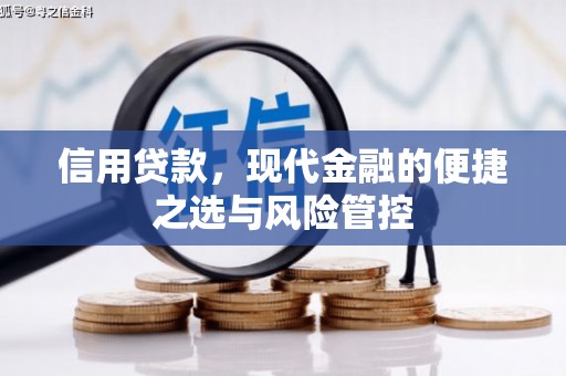 阜康信用贷款，现代金融的便捷之选与风险管控