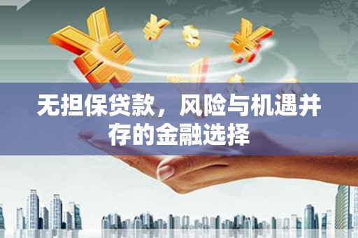 阜康无担保贷款，风险与机遇并存的金融选择
