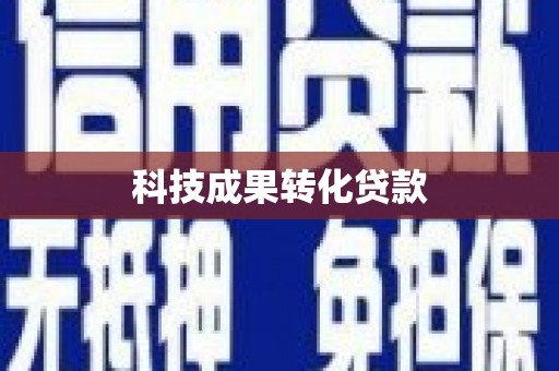阜康科技成果转化贷款
