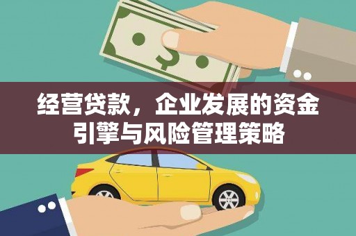 阜康经营贷款，企业发展的资金引擎与风险管理策略