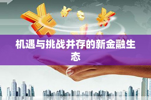 阜康机遇与挑战并存的新金融生态