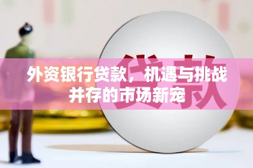 阜康外资银行贷款，机遇与挑战并存的市场新宠