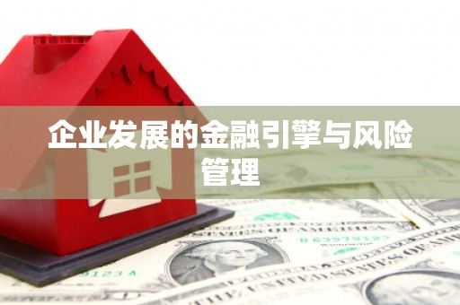 阜康企业发展的金融引擎与风险管理