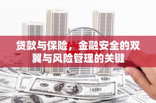 阜康贷款与保险，金融安全的双翼与风险管理的关键