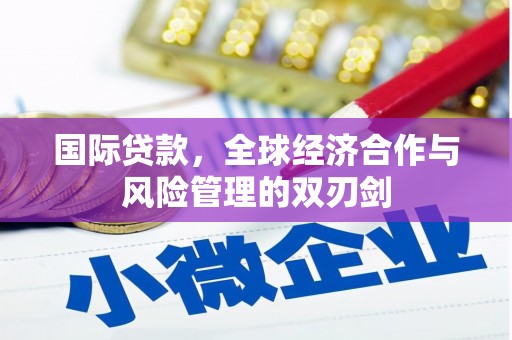 阜康国际贷款，全球经济合作与风险管理的双刃剑