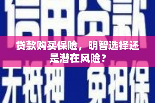 阜康贷款购买保险，明智选择还是潜在风险？