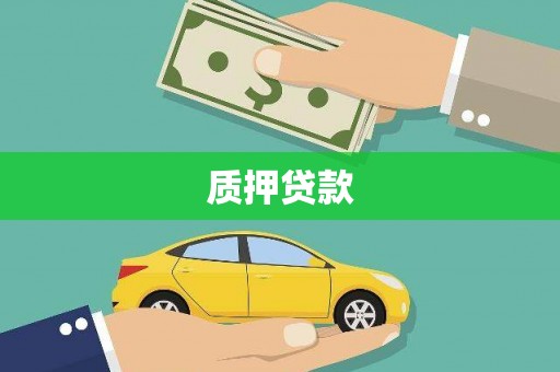 阜康质押贷款