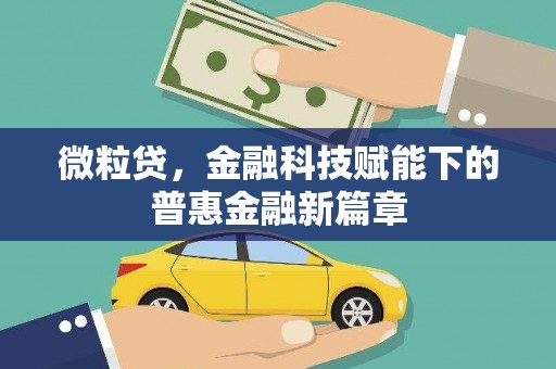 阜康微粒贷，金融科技赋能下的普惠金融新篇章