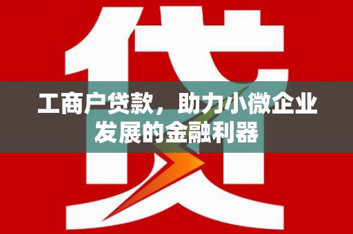 阜康工商户贷款，助力小微企业发展的金融利器