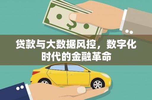 阜康贷款与大数据风控，数字化时代的金融革命