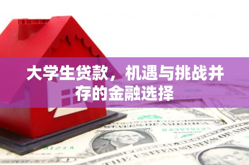阜康大学生贷款，机遇与挑战并存的金融选择