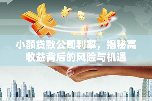 阜康小额贷款公司利率，揭秘高收益背后的风险与机遇