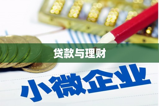 阜康贷款与理财
