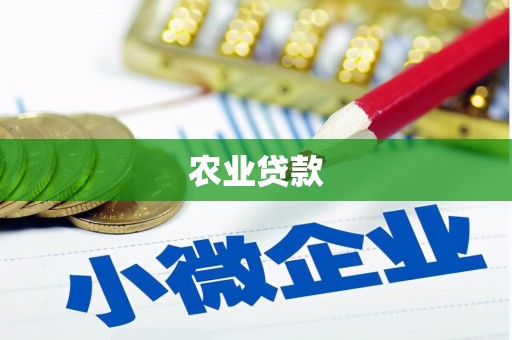 阜康农业贷款