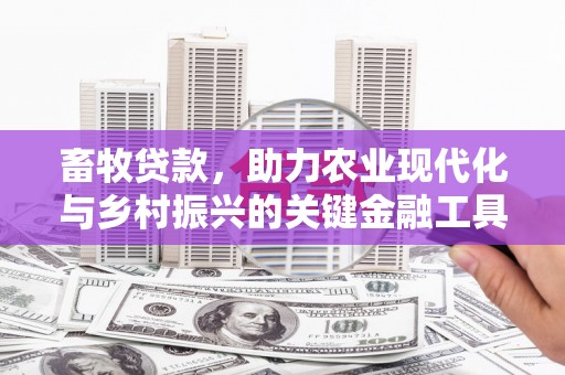 阜康畜牧贷款，助力农业现代化与乡村振兴的关键金融工具
