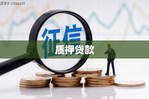 阜康质押贷款