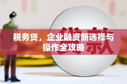 阜康税务贷，企业融资新选择与操作全攻略