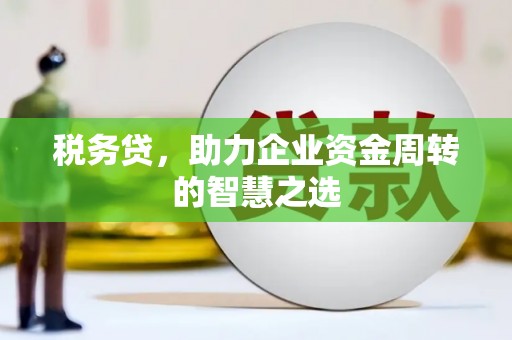 阜康税务贷，助力企业资金周转的智慧之选