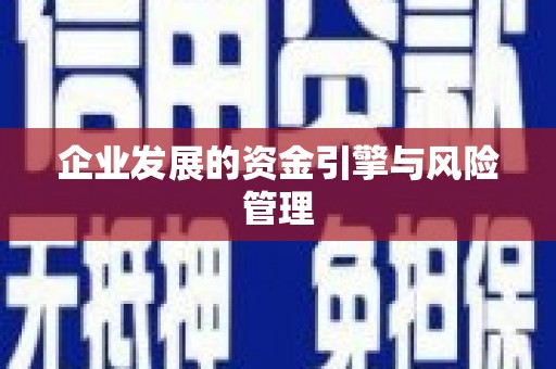 阜康企业发展的资金引擎与风险管理