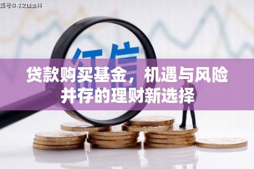 阜康贷款购买基金，机遇与风险并存的理财新选择