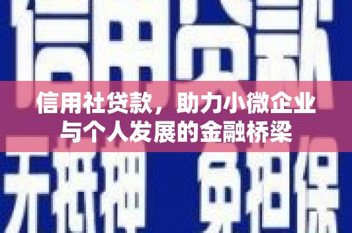 阜康信用社贷款，助力小微企业与个人发展的金融桥梁