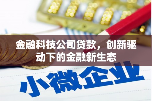 阜康金融科技公司贷款，创新驱动下的金融新生态