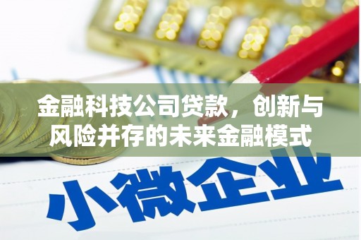 阜康金融科技公司贷款，创新与风险并存的未来金融模式