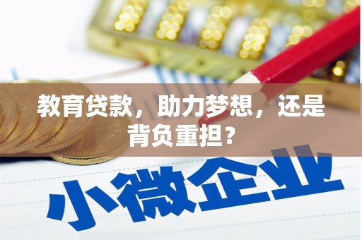 阜康教育贷款，助力梦想，还是背负重担？