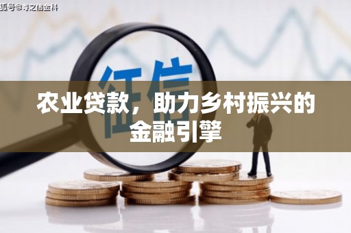 阜康农业贷款，助力乡村振兴的金融引擎