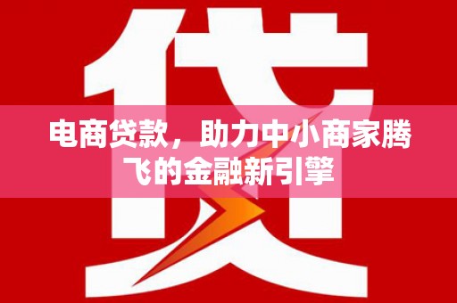 阜康电商贷款，助力中小商家腾飞的金融新引擎