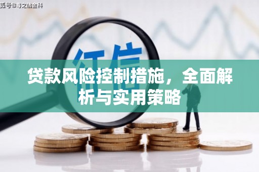 阜康贷款风险控制措施，全面解析与实用策略