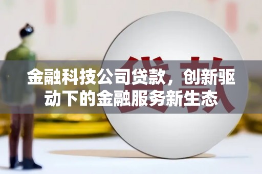 阜康金融科技公司贷款，创新驱动下的金融服务新生态