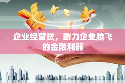 阜康企业经营贷，助力企业腾飞的金融利器