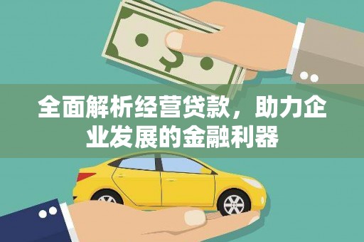 阜康全面解析经营贷款，助力企业发展的金融利器