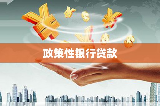 阜康政策性银行贷款