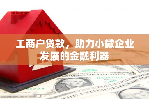 阜康工商户贷款，助力小微企业发展的金融利器