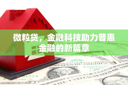 阜康微粒贷，金融科技助力普惠金融的新篇章