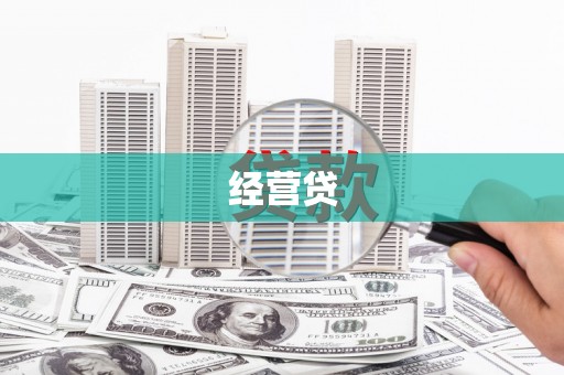 阜康经营贷