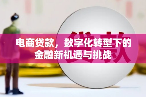 阜康电商贷款，数字化转型下的金融新机遇与挑战