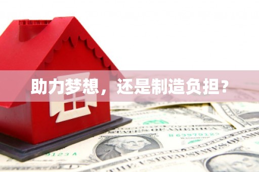 阜康助力梦想，还是制造负担？