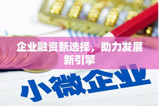 阜康企业融资新选择，助力发展新引擎