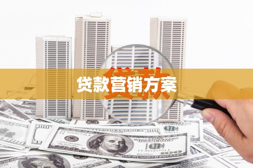 阜康贷款营销方案