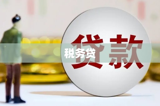 阜康税务贷